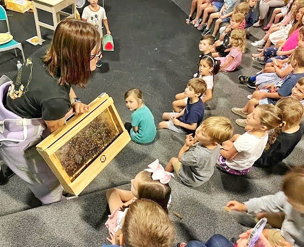 Observation hive setup in a classroom for educational beekeeping demonstration