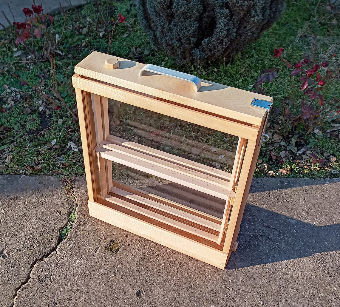 4 frame observation hive showing deep bee frames