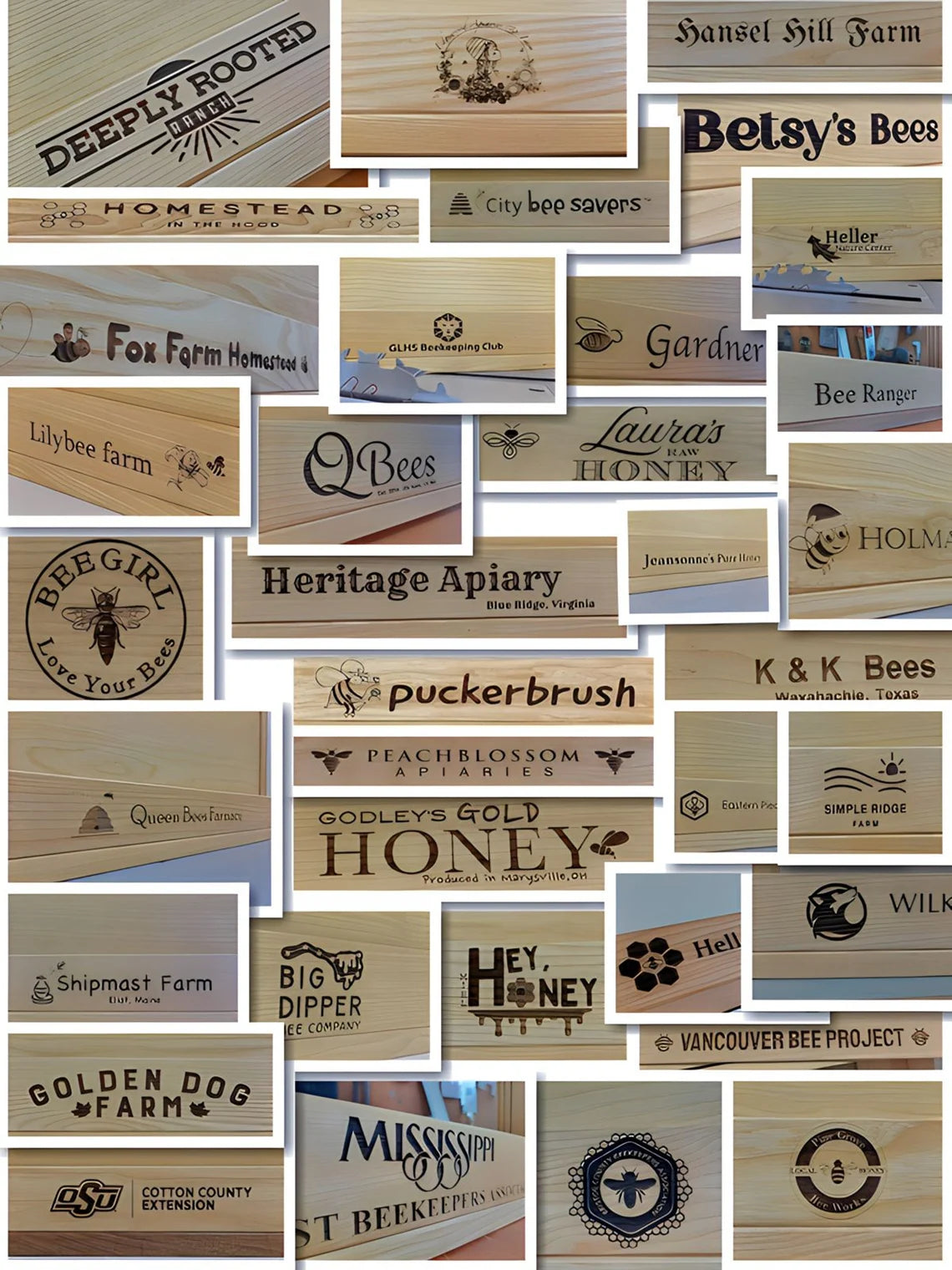 observation hive collage with custom engraved designs
