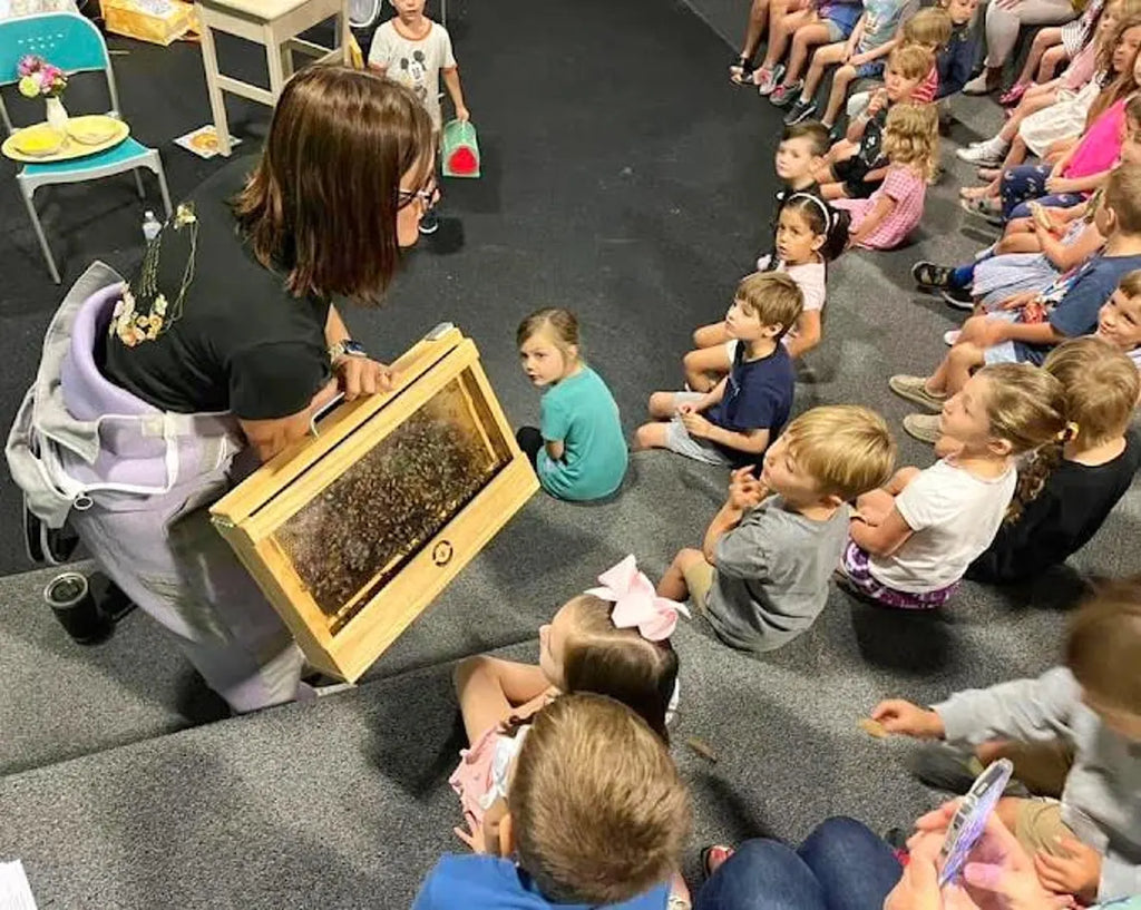 Single frame observation hive with live bees being demonstrated by teacher to students in classroom