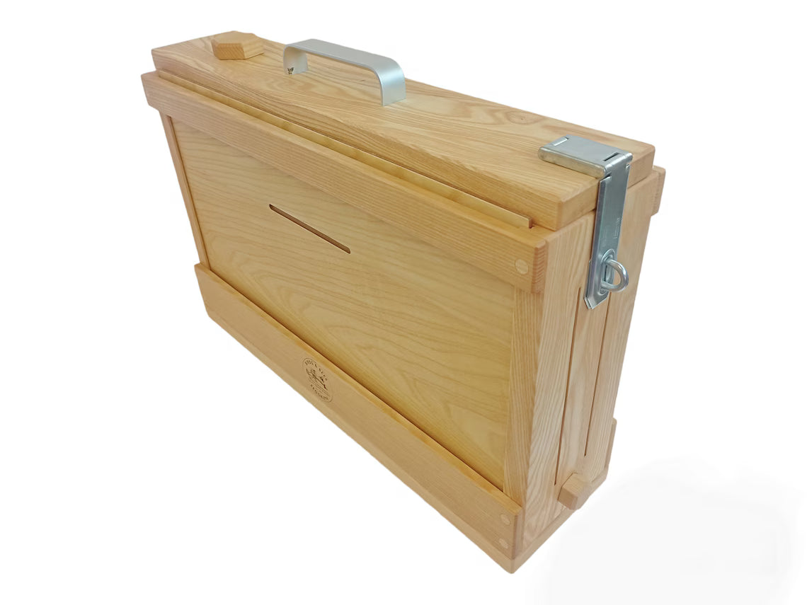 2 frame observation hive angled view