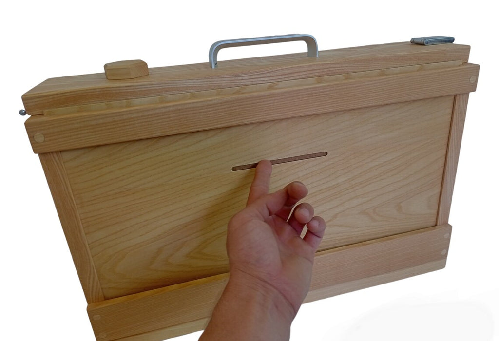 2 frame observation hive showing removable panel to view bees